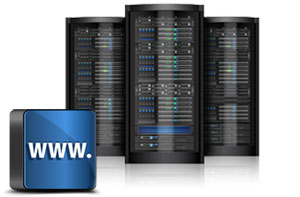 Professional Web Hosting